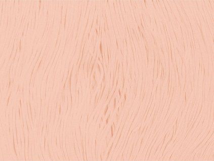 fringe-elastic-champagne-15cm.jpg