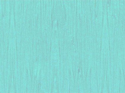 fringe-no-elastic-pale-turquoise-15cm.jpg