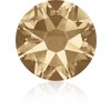 Swarovski XIRIUS NH ss-16  Golden Shadow