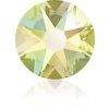 JONQUIL AB 213AB 20